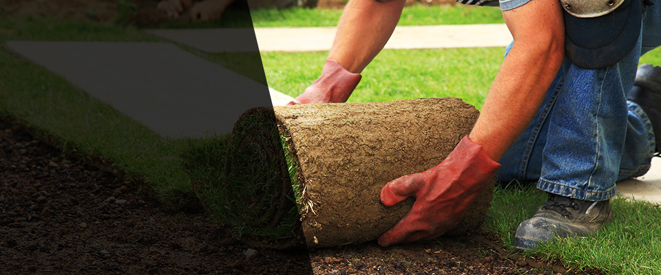 Kensington Landscapers